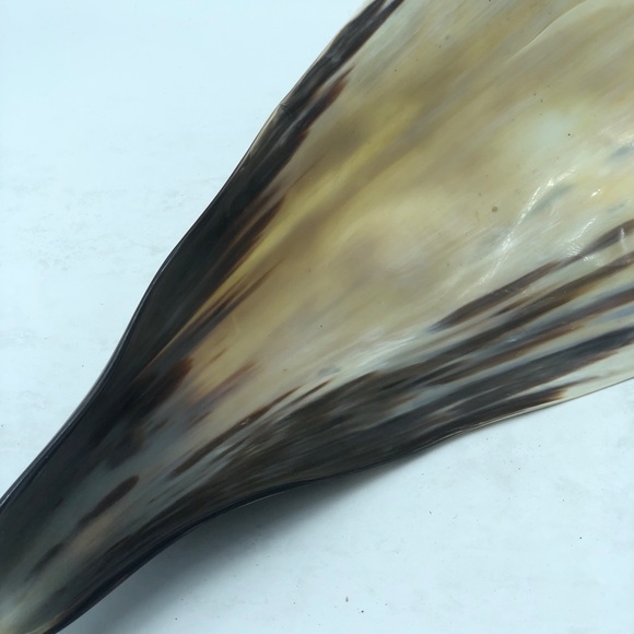 Large Horn Decorative Piece - Picture 8 of 8